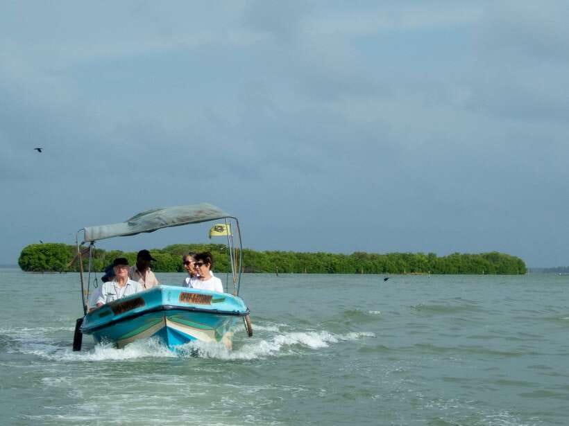 Negombo Lagoon (Mangrove ) Boat Excursion - Key points to know before booking