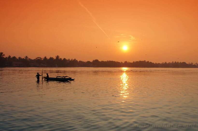 Negombo Lagoon (Mangrove ) Boat Excursion - What this Negombo Lagoon outing is really like