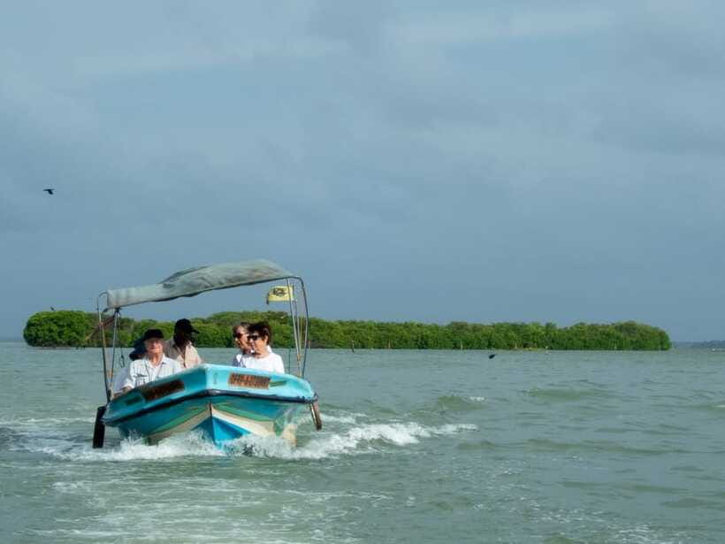 Negombo Lagoon (Mangrove ) Boat Excursion - Why the two-hour cruise may be enough