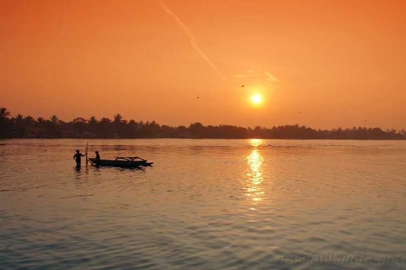 Negombo Lagoon (Mangrove ) Boat Excursion - A quick look at the Dutch Canal
