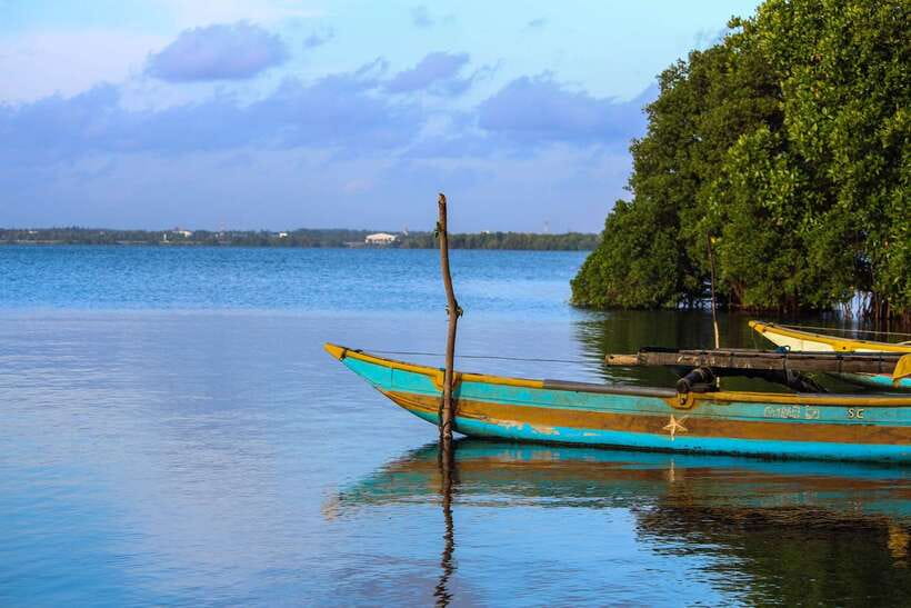 Negombo Lagoon (Mangrove ) Boat Excursion - Lunch, refreshments, and the price question