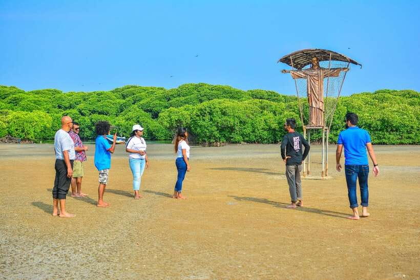 Negombo Lagoon (Mangrove ) Boat Excursion - Setting out through the Dutch Canal