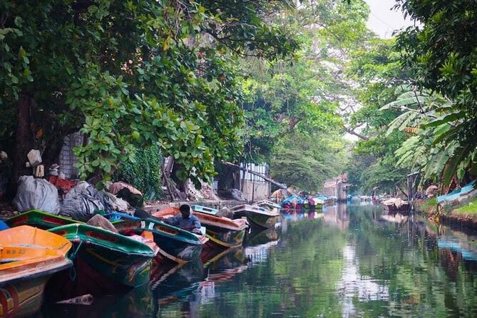 Negombo Lagoon & Muthurjawela Bird Watching Boat Tour - The most important transport warning