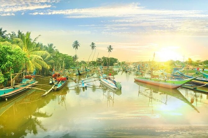 Negombo Lagoon & Muthurjawela Bird Watching Boat Tour - Who will enjoy this boat ride most