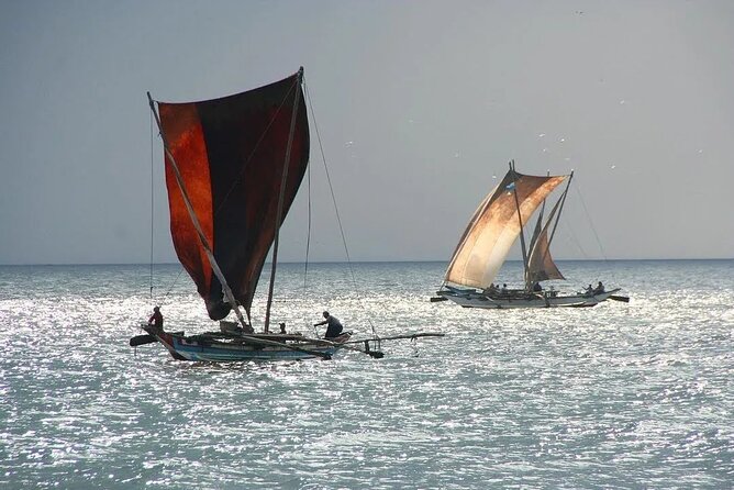 Negombo Lagoon & Muthurjawela Bird Watching Boat Tour - Is $45 a fair price?