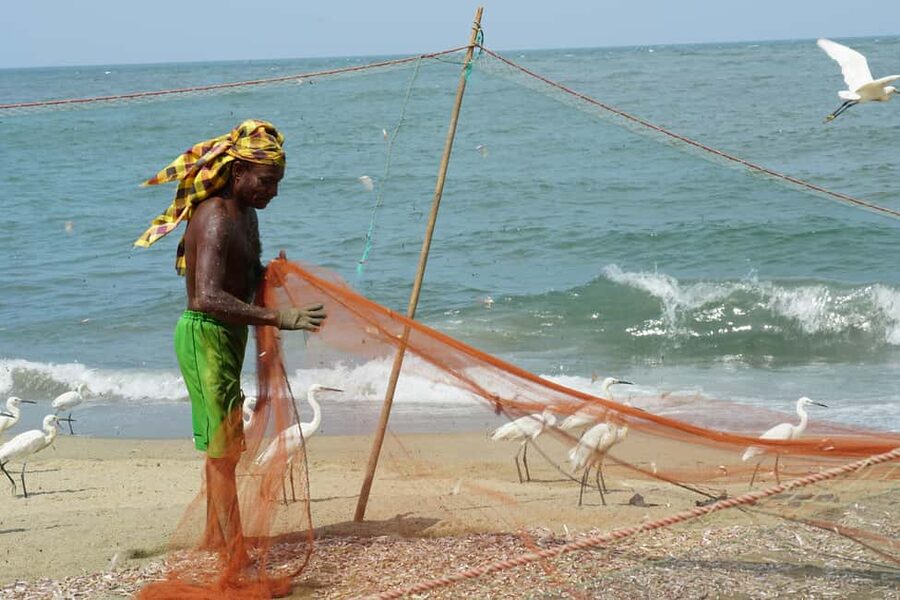 Negombo Private Tour: Market, Temples & Canal - Key points to know before you go