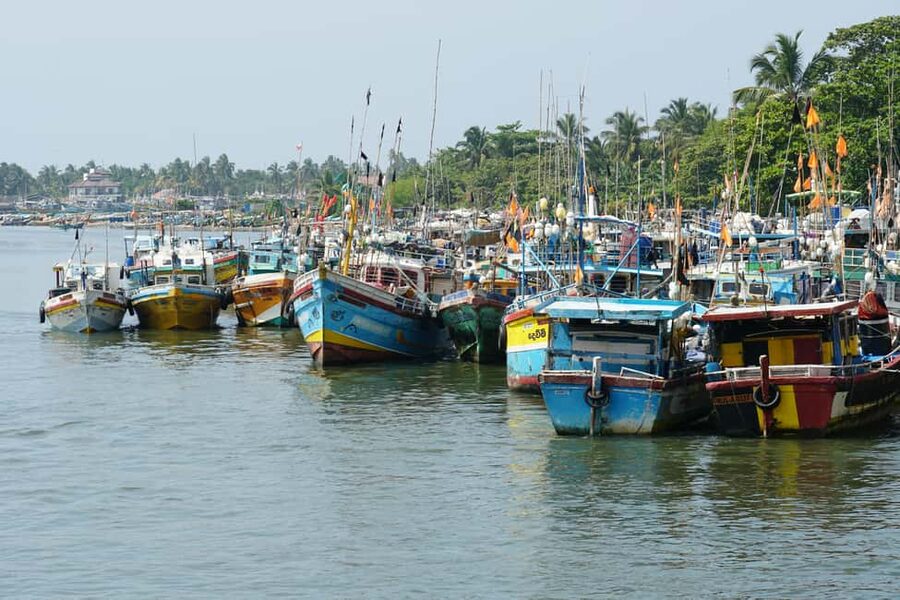 Negombo Private Tour: Market, Temples & Canal - Why this private Negombo tour works well