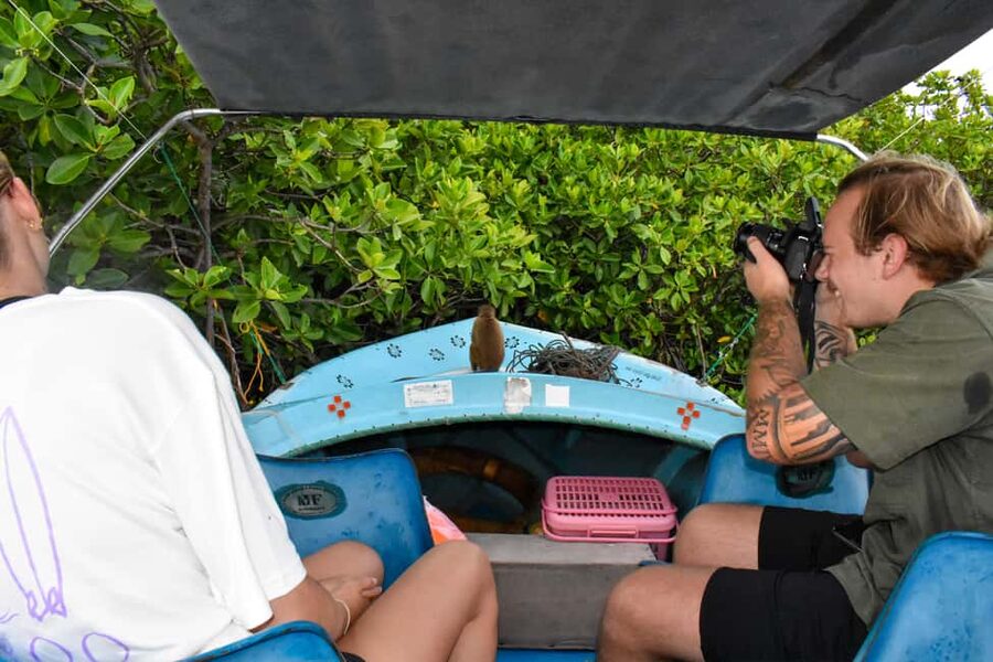 Negombo: Sunset lagoon boat tour with hotel transfers - Monkey Island and the toque macaques