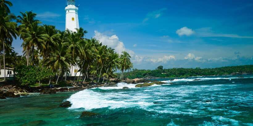 Negombo: Turtle hatchery, River safari, moon stone & Galle - Key points to know before you book