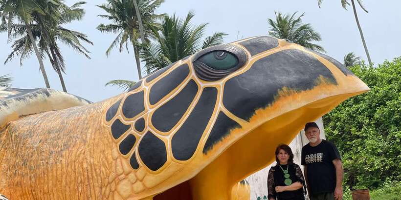 Negombo: Turtle hatchery, River safari, moon stone & Galle - The Madu River safari is the day’s best pause