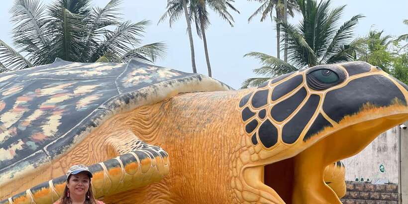 Negombo: Turtle hatchery, River safari, moon stone & Galle - Bentota Beach, a quick first look