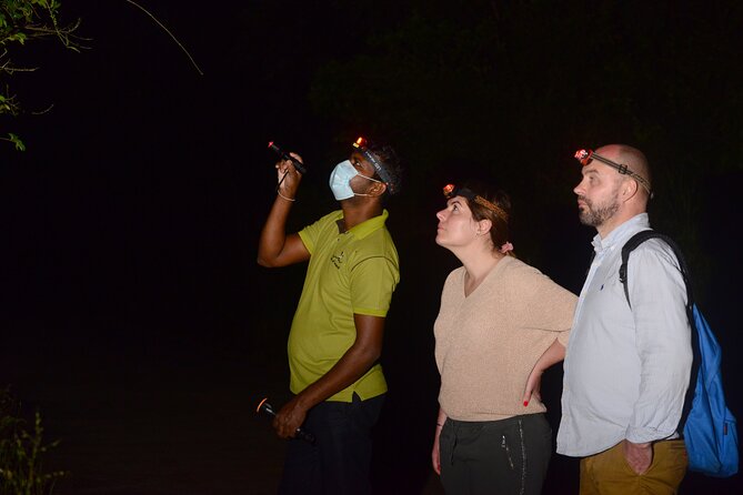 Night Hike to see Elusive & Rare Loris in Sigiriya - Starting at ROCKO’S Vegetarian Cafe in Pidurangala