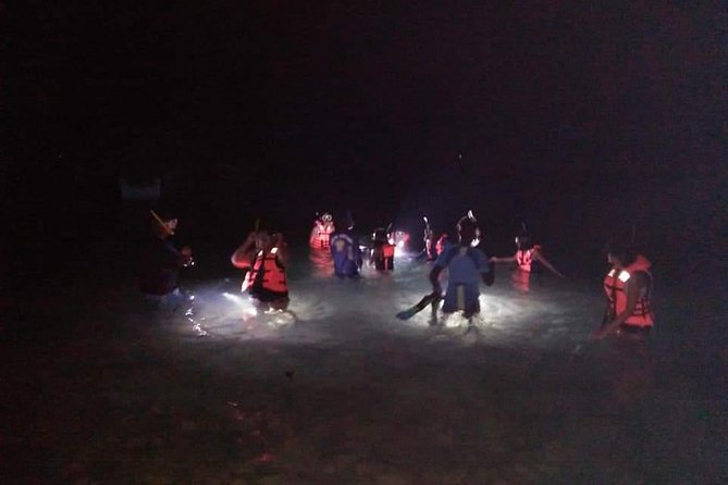 Night Snorkeling Experience in Mirissa - Key points to know before you book