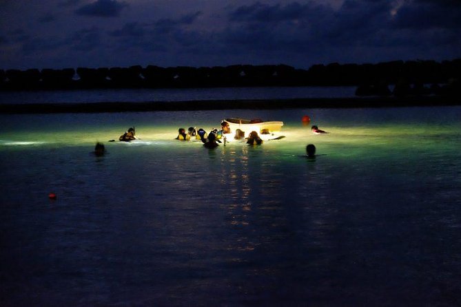 Night Snorkeling Experience in Mirissa - The briefing comes before the water