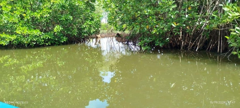 Nilaveli: Lagoon Boat Safari with Mangrove Exploration - A Small Boat Into Irrakkandi Lagoon
