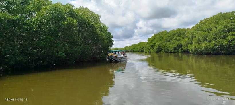 Nilaveli: Lagoon Boat Safari with Mangrove Exploration - What the Two-Hour Route Feels Like