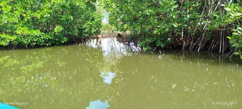 Nilaveli: Lagoon Boat Safari with Mangrove Exploration - Who Will Enjoy This Lagoon Safari?