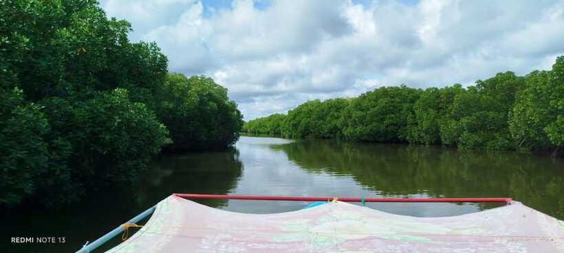 Nilaveli: Lagoon Boat Safari with Mangrove Exploration - Booking Advice and Final Verdict