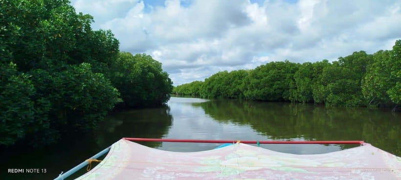 Nilaveli: Lagoon Boat Safari with Mangrove Exploration - Mangrove Channels and a Quiet Stop