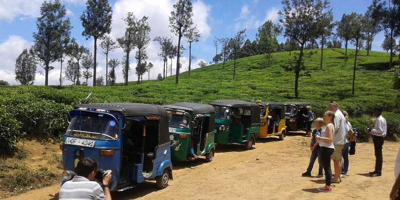 Nuwara Eliya: All-Inclusive Ella Sightseeing Private Tour - Who will enjoy this Ella day trip most?