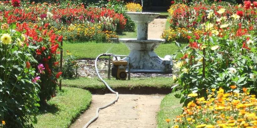Nuwara Eliya: All-Inclusive Private Sightseeing Day Tour - Why this day works for Nuwara Eliya