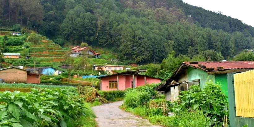 Nuwara Eliya: All-Inclusive Private Sightseeing Day Tour - Transport, timing, and the private format
