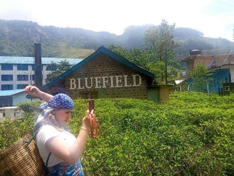 Nuwara Eliya Full day: 5Waterfalls, 2Tea Test & pick by TUK - Devon Falls and St. Clair’s Falls