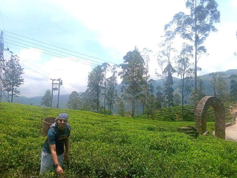 Nuwara Eliya Full day: 5Waterfalls, 2Tea Test & pick by TUK - Returning through Nuwara Eliya town
