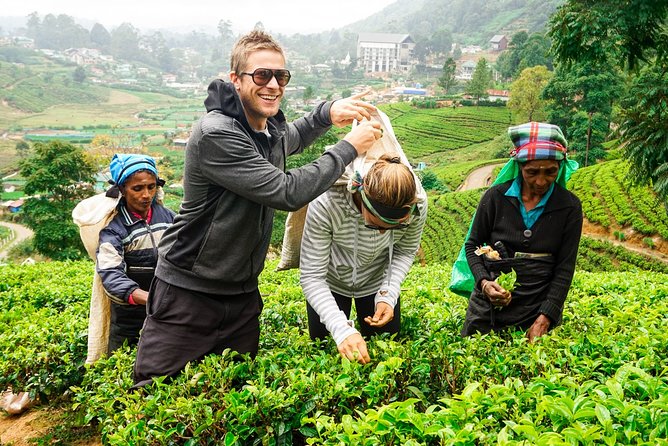 Nuwara Eliya Highlands from Kandy - Key points to know before you go