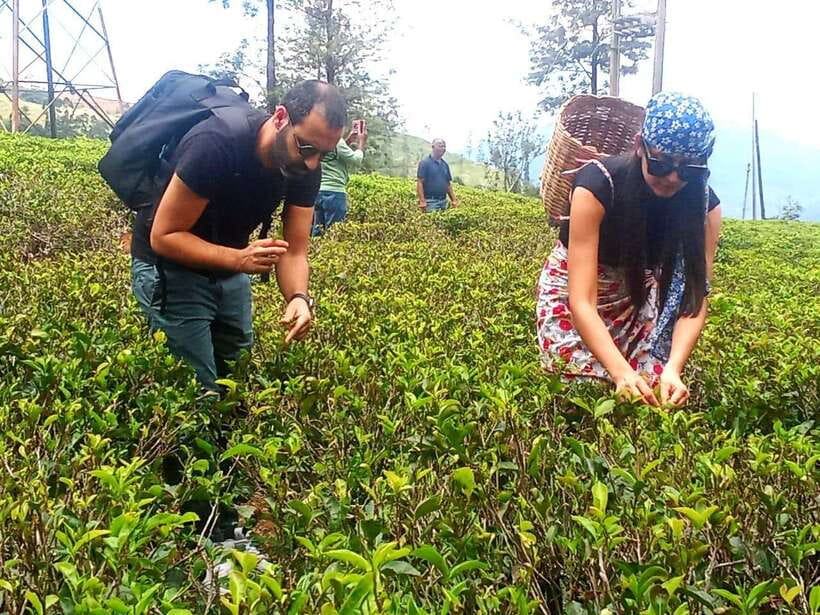 Nuwara Eliya: Tea Factory and Pickle Waterfalls Tuk Tuk Tour - Ramboda Falls: the active part of the day