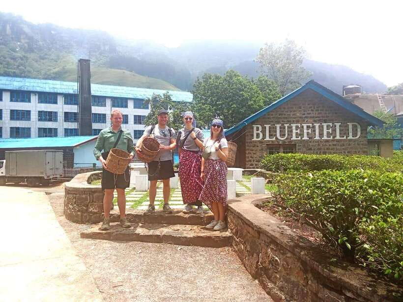 Nuwara Eliya: Tea Factory and Pickle Waterfalls Tuk Tuk Tour - Who will enjoy this most?