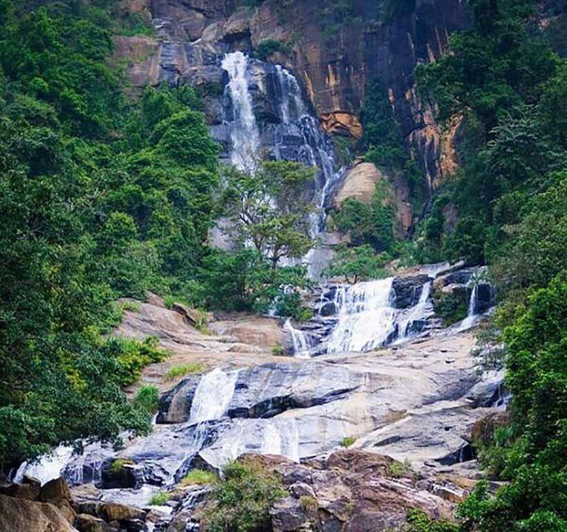 Nuwara Eliya: Tea Factory and Pickle Waterfalls Tuk Tuk Tour - Damro Labookellie: seeing tea from leaf to cup