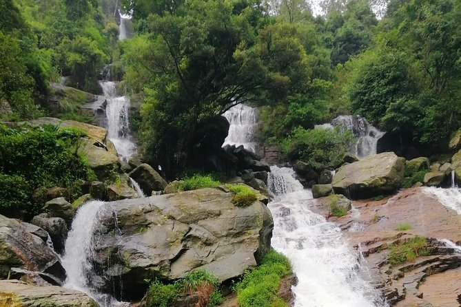 Nuwara Eliya Tea factory and waterfall tour - Why this five-hour Nuwara Eliya outing works