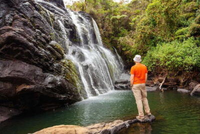 Nuwara Eliya to Horton Plains, Strawberry& Ambewela Farm TUK