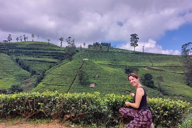 Nuwara Eliya Tours - Tea plantation safari and the modern factory