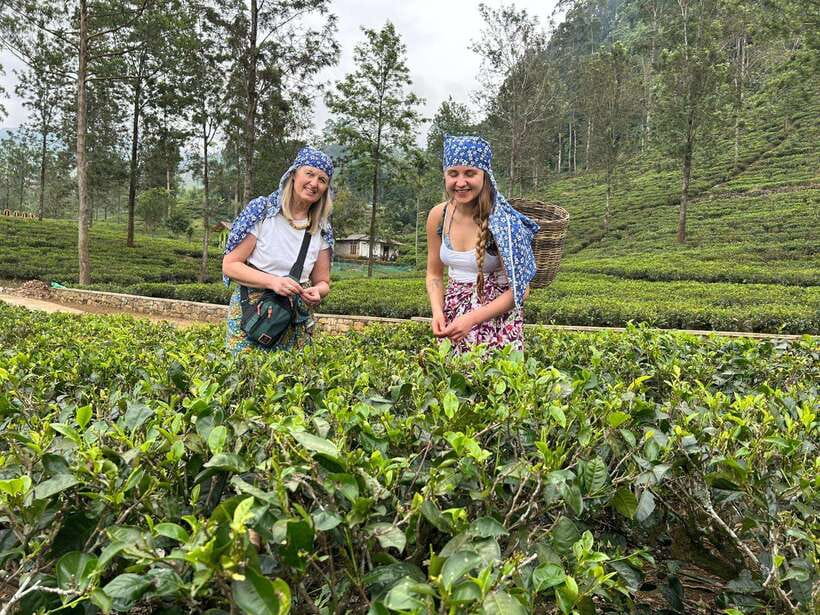 Nuwara Eliya Tuk-Tuk Tour Tea Picking,Tasting &Ramboda Falls - The road to tea country and the best viewpoints