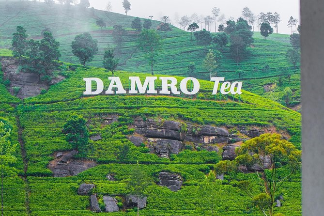 NuwaraEliya Tea Factory,Plantation & Water Falls Hike Tour by Car - Key things to know before you book