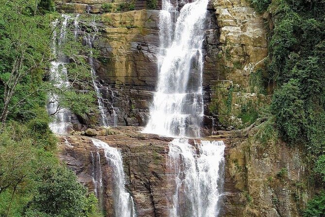 NuwaraEliya Tea Factory,Plantation & Water Falls Hike Tour by Car - At the tea factory: from leaf to finished product