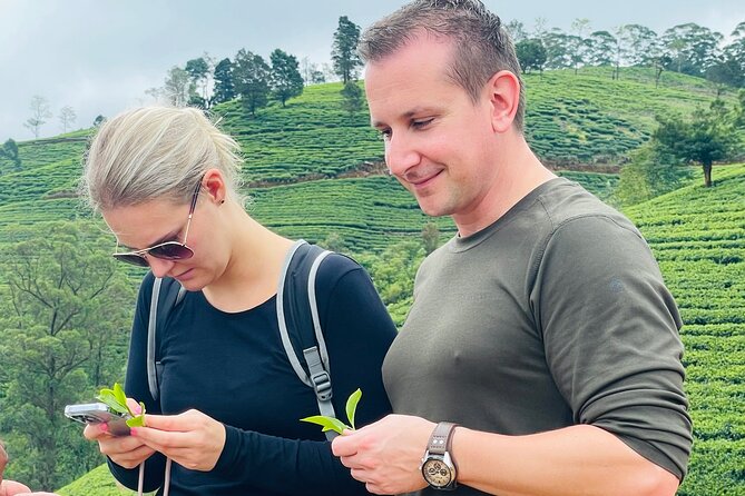 NuwaraEliya Tea Factory,Plantation & Water Falls Hike Tour by Car - Plantation time and the optional tea Safari