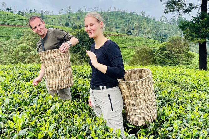 NuwaraEliya Tea Factory,Plantation & Water Falls Hike Tour by Car - Price and what the $56 really buys