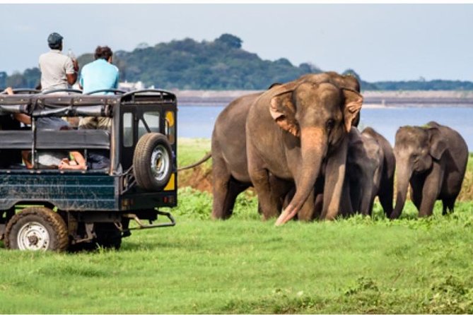 One day Yala National Park from Galle/Hikkaduwa/Mirissa/Unawatuna - Why this safari works well from Sri Lanka’s south coast