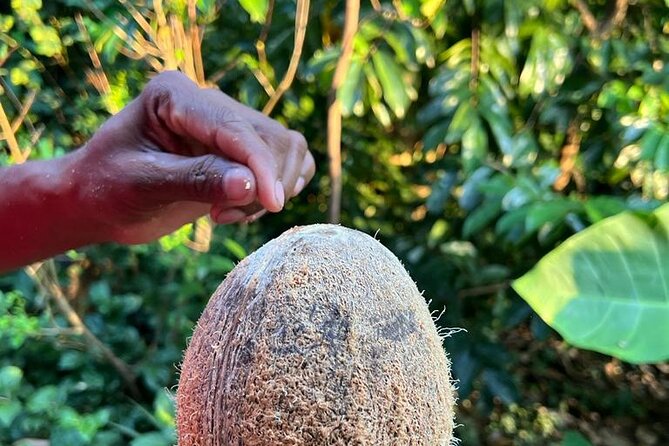 Organic cooking class sigiriya (kumara & family) - Small drawbacks worth knowing