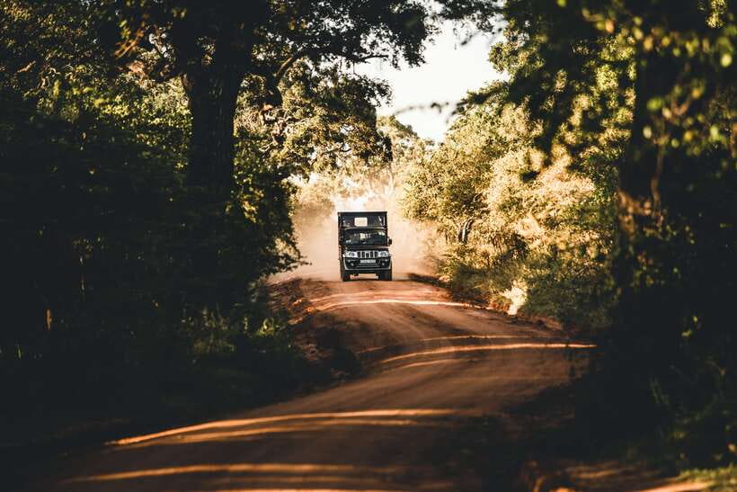 Overnight Treehouse Safari at Yala National Park - What you are really paying for at Yala