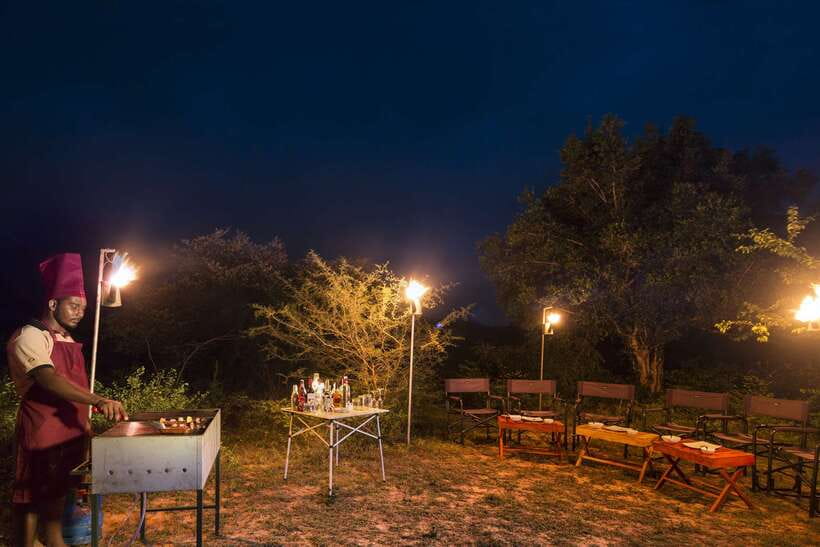 Overnight Treehouse Safari at Yala National Park - Dawn begins with tea, birds, and a slower walk
