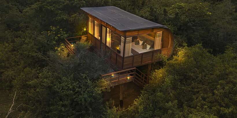 Overnight Treehouse Safari at Yala National Park - Checkout and the return journey