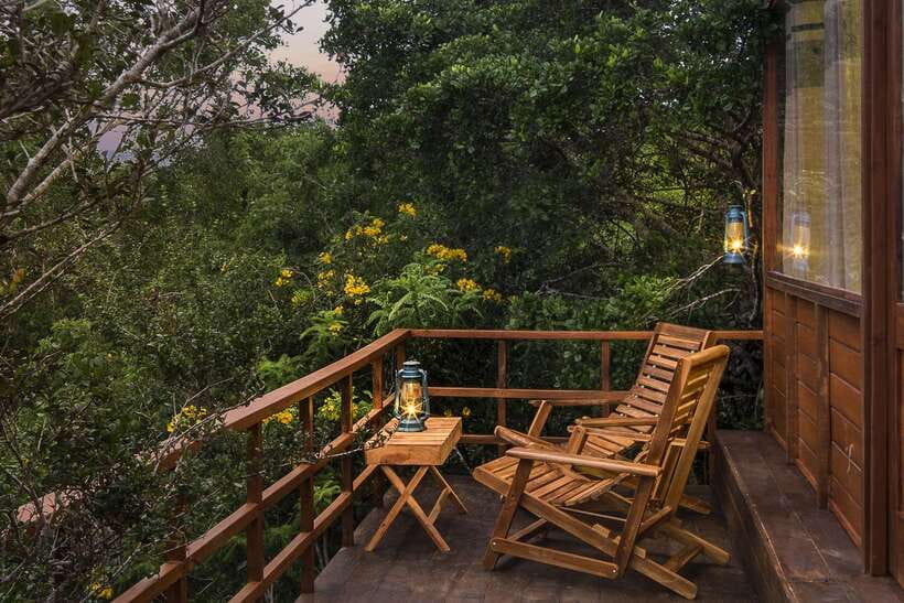 Overnight Treehouse Safari at Yala National Park - The guides can make or break the day