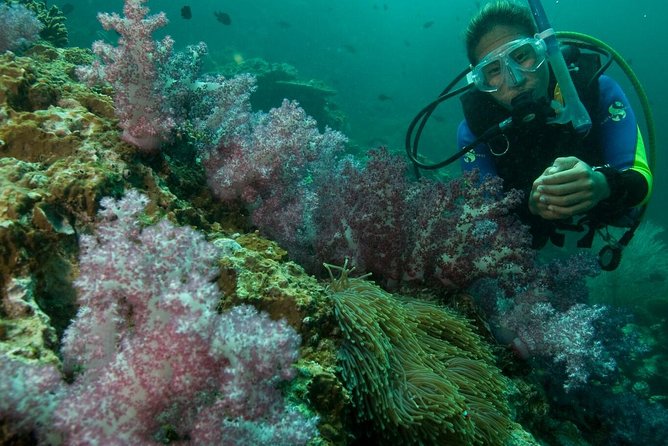 PADI Scuba Diver Course - What the PADI Scuba Diver certificate actually allows
