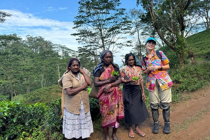 Pekoe Trail Stage 1- Scenic Trek from Hanthana to Galaha - What the $50 price really buys you