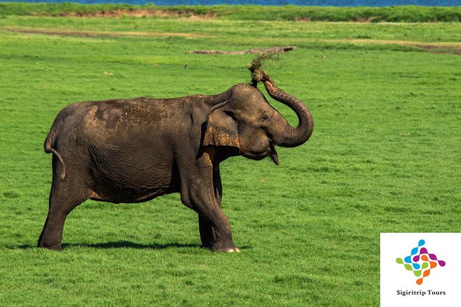 Personal Driver For Your Two Weeks Round Tour In Sri Lanka - Ella’s bridges, peaks, and demanding walks