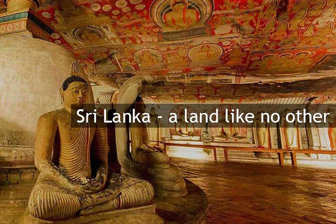 Personal Driver For Your Two Weeks Round Tour In Sri Lanka - Driver quality, communication, and comfort